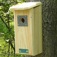 Woodpecker/Flicker Houses